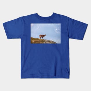 Mountain Chamois in High Tatras National Park Kids T-Shirt